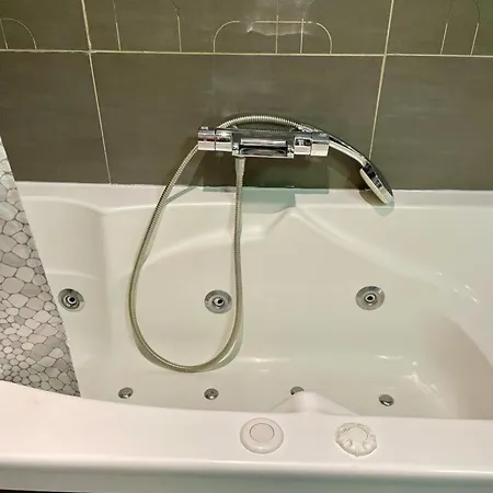 Le Cocon Art Deco Apartman Caluire-et-Cuire