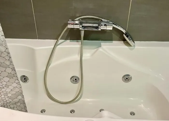 Le Cocon Art Deco Apartamento Caluire-et-Cuire